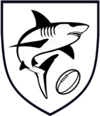 cropped-cropped-cropped-Sharks-shield-no-background-e1645784633530